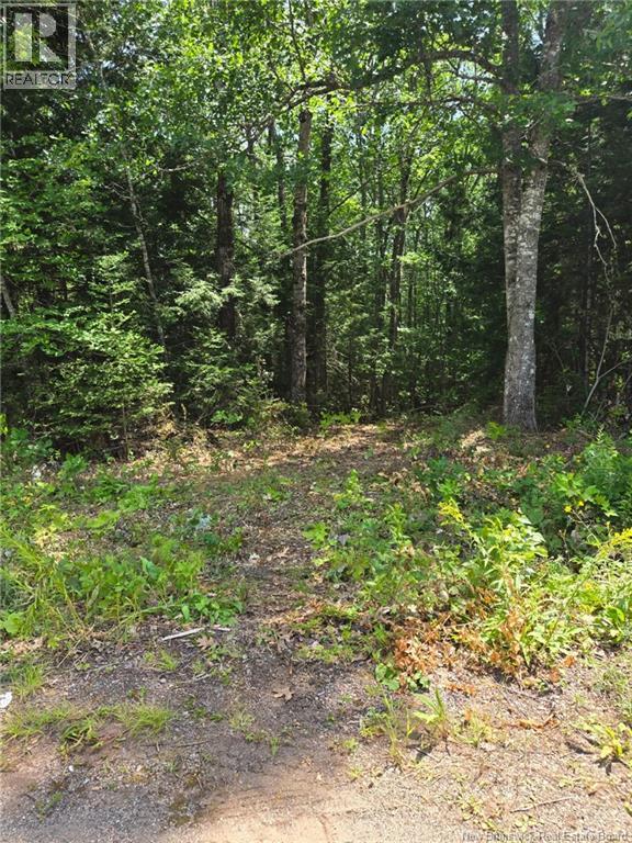 Lot Elm Hill Road Property Photo 18