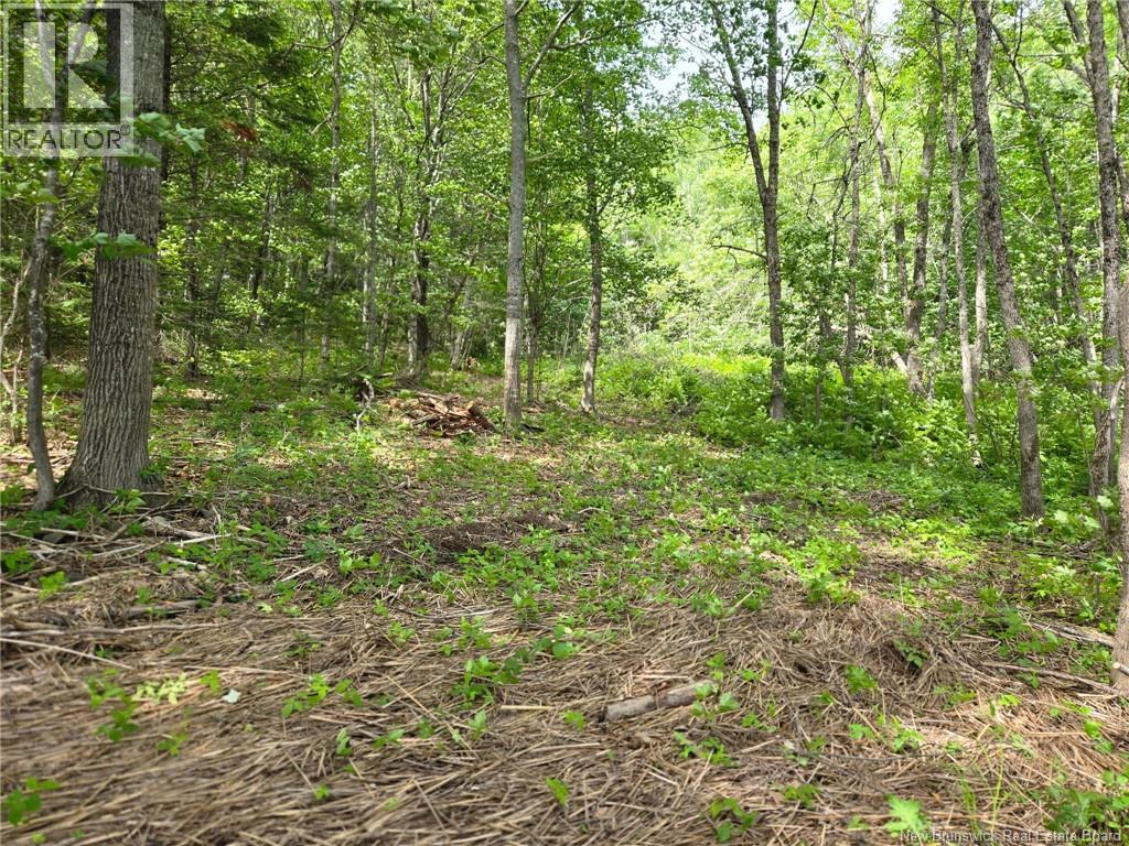 Lot Elm Hill Road Property Photo 26
