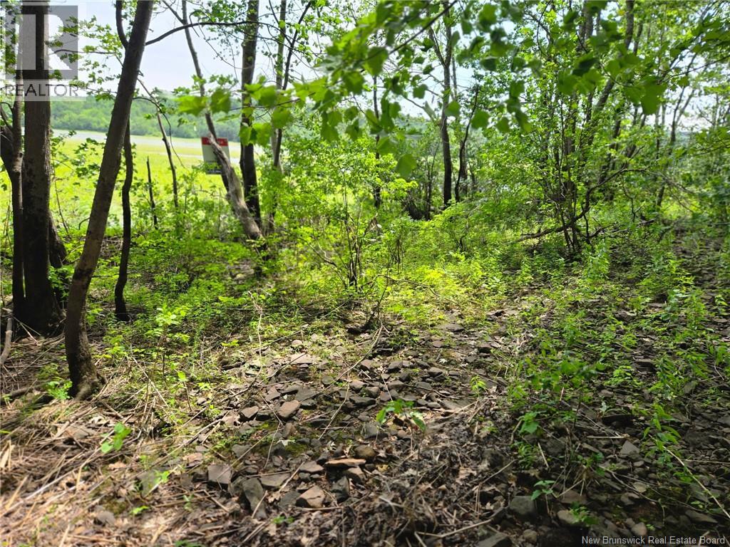 Lot Elm Hill Road Property Photo 27