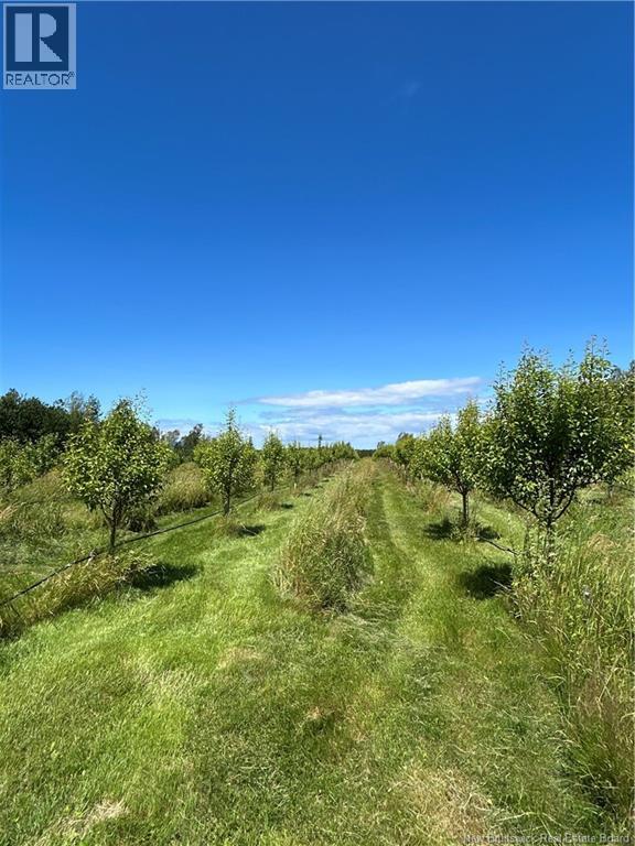 324 Des Acadiens Boulevard Property Photo 8