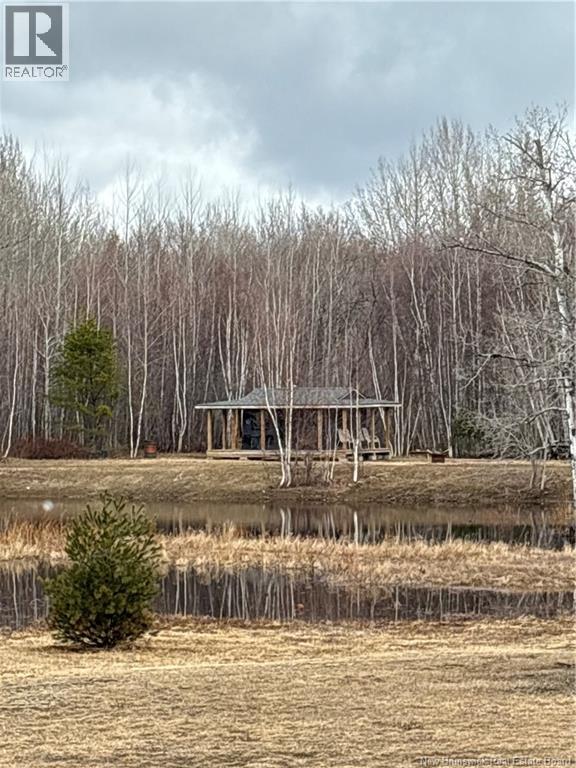 9.97 Hec Route 11 Property Photo 5