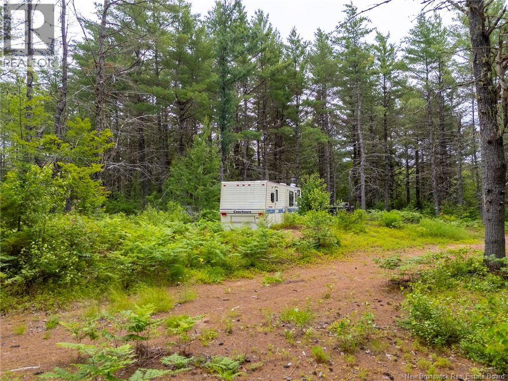 Lot Graham Road Property Photo 1