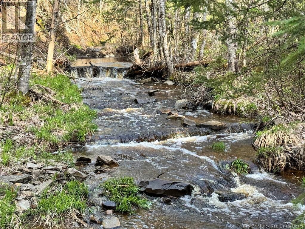 Lot Sand Brook Road Property Photo 10