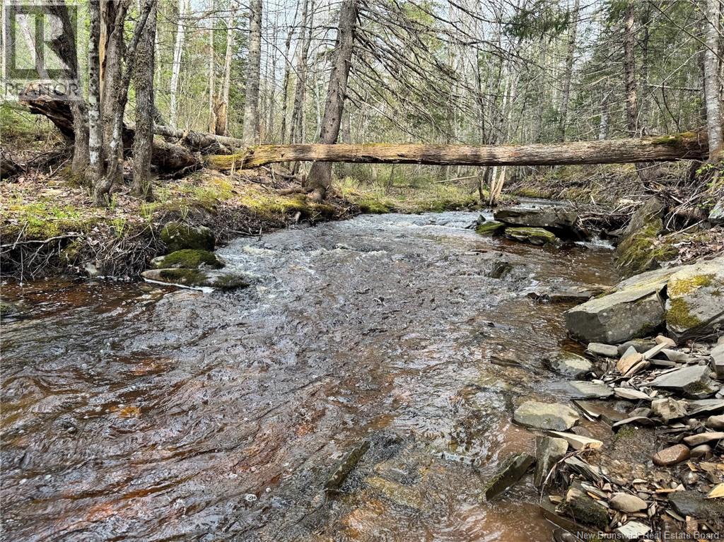 Lot Sand Brook Road Property Photo 11