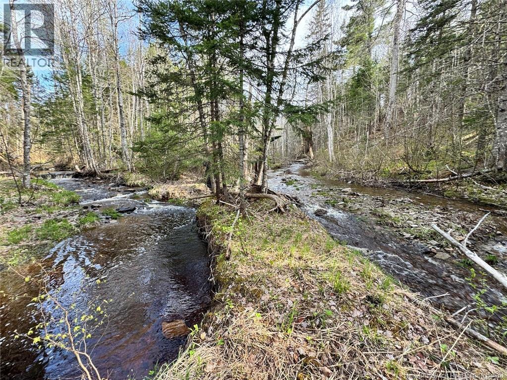 Lot Sand Brook Road Property Photo 13