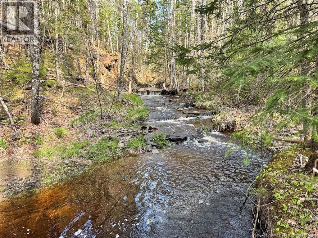 Lot Sand Brook Road Property Photo 14