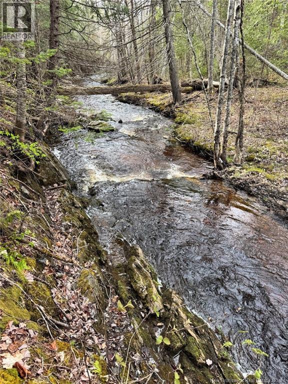 Lot Sand Brook Road Property Photo 15