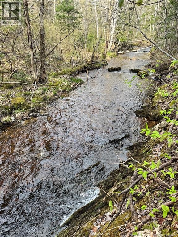 Lot Sand Brook Road Property Photo 16