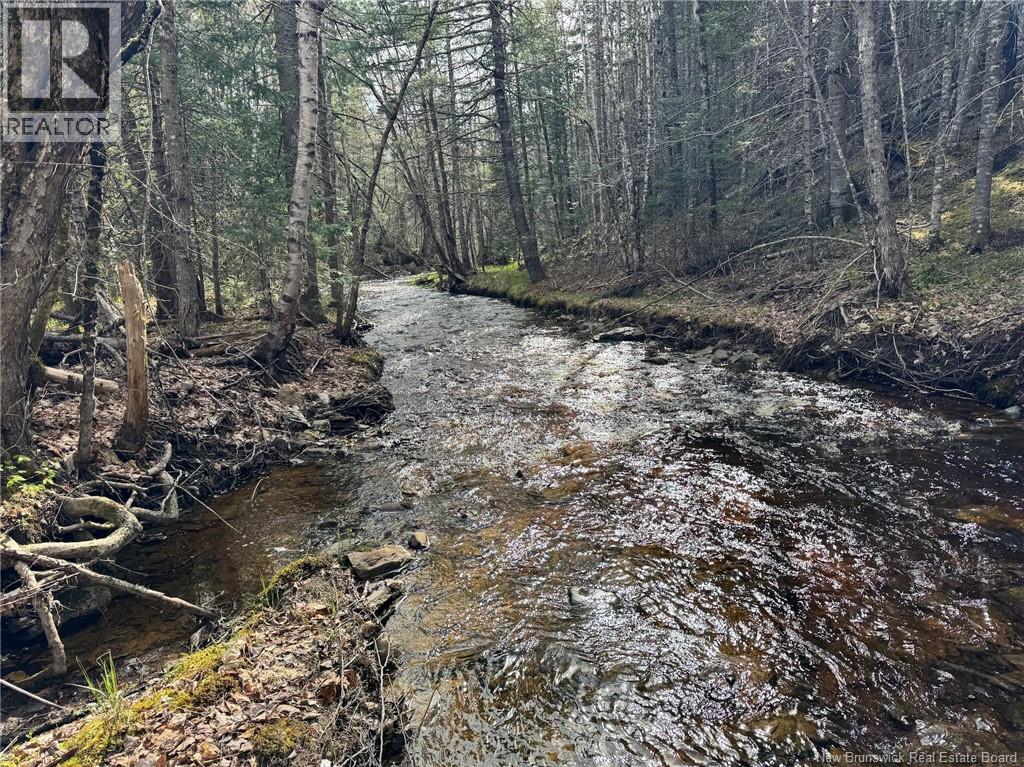 Lot Sand Brook Road Property Photo 17