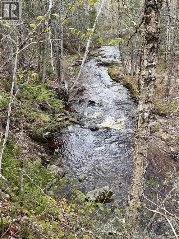 Lot Sand Brook Road Property Photo 18