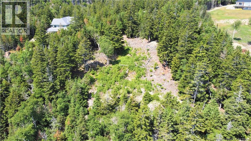 Lot 7 Kilmarnock Head Property Photo 13