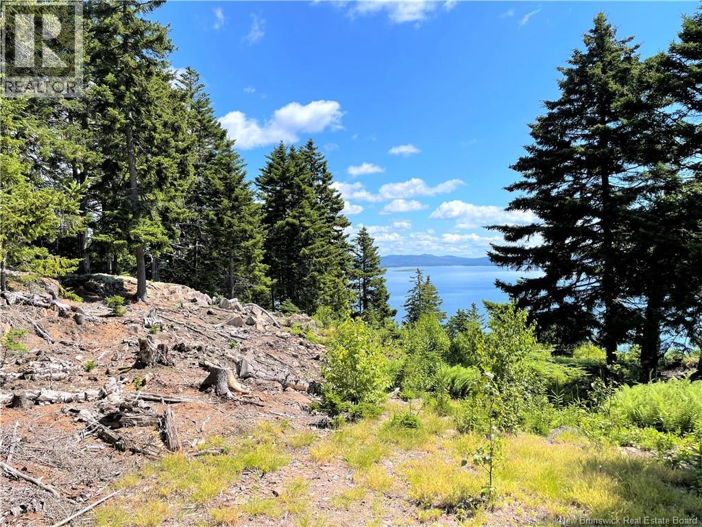 Lot 7 Kilmarnock Head Property Photo 15