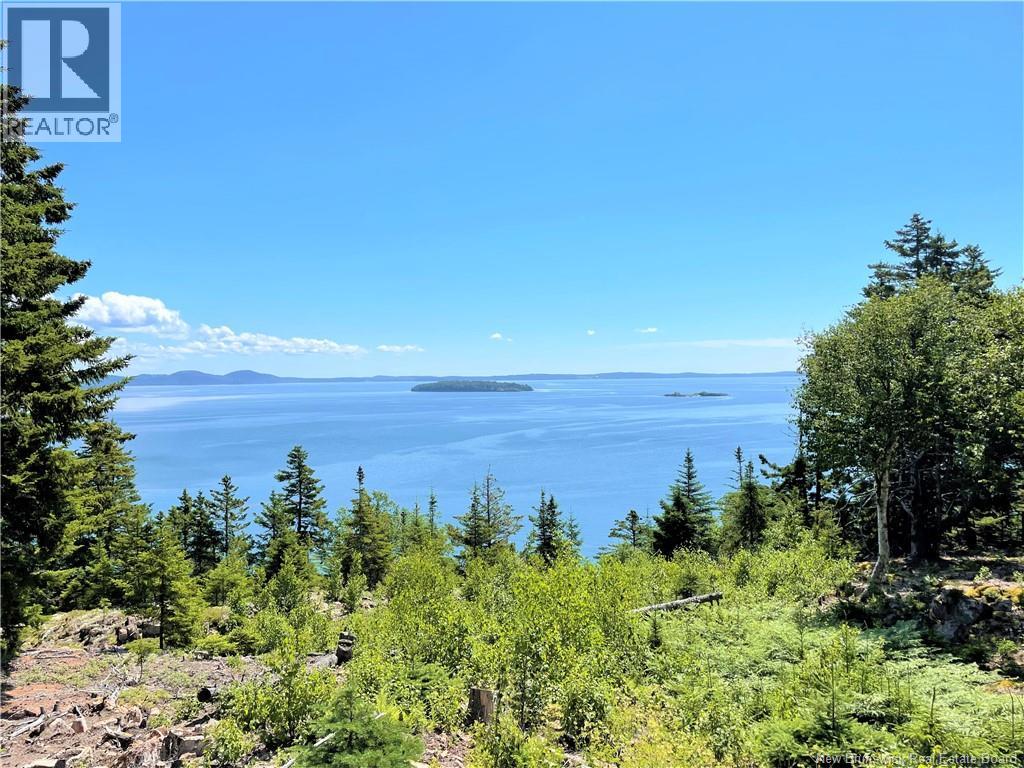 Lot 7 Kilmarnock Head Property Photo 17