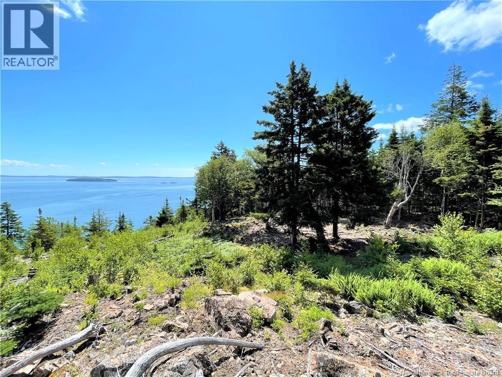 Lot 7 Kilmarnock Head Property Photo 18