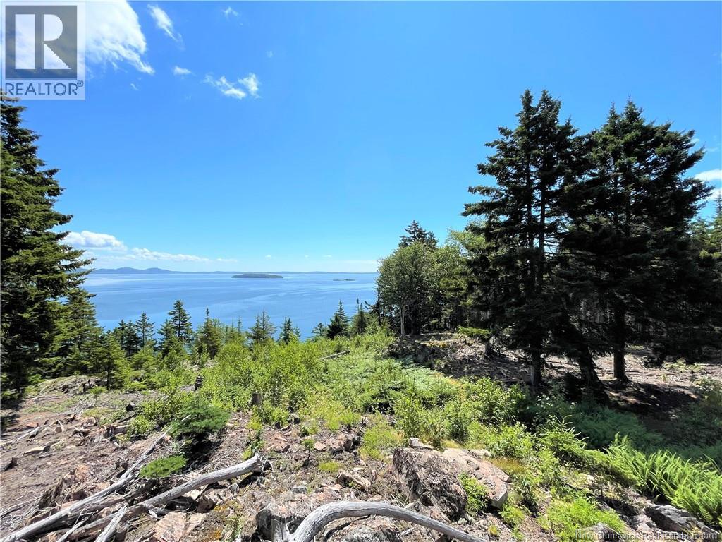 Lot 7 Kilmarnock Head Property Photo 19