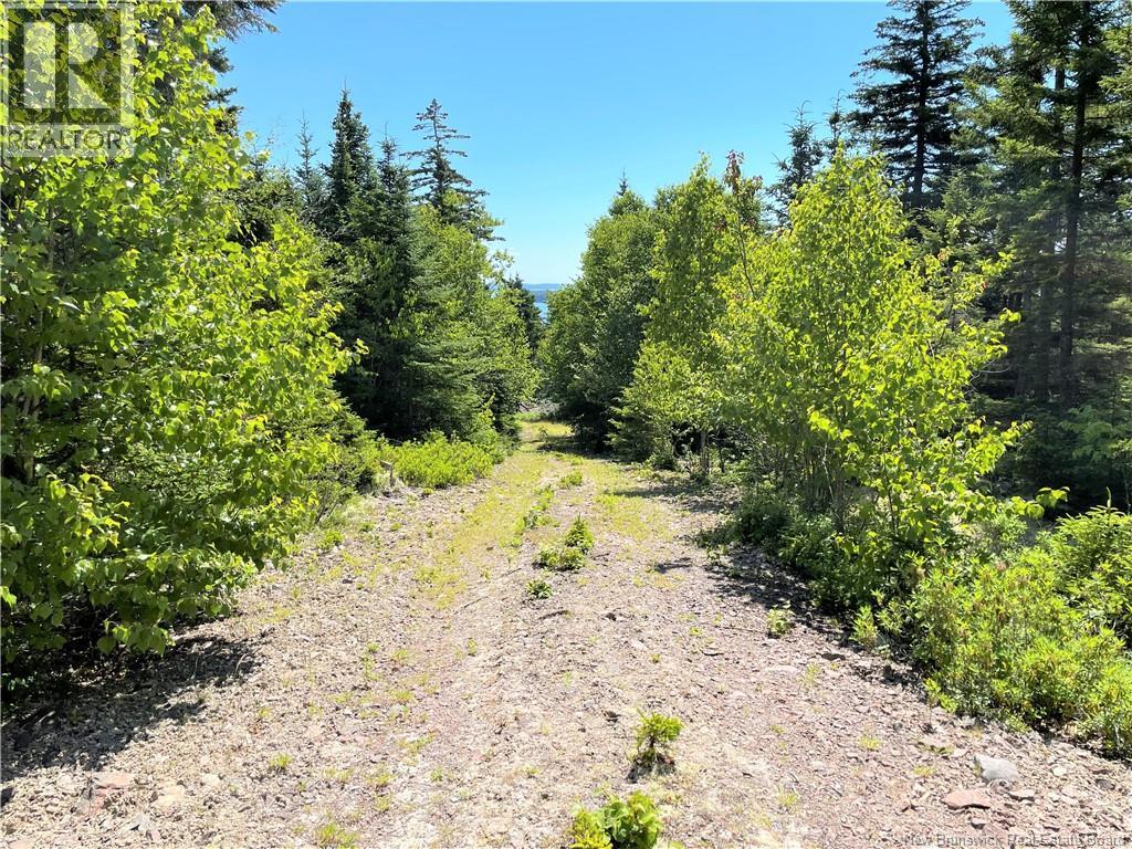 Lot 7 Kilmarnock Head Property Photo 22