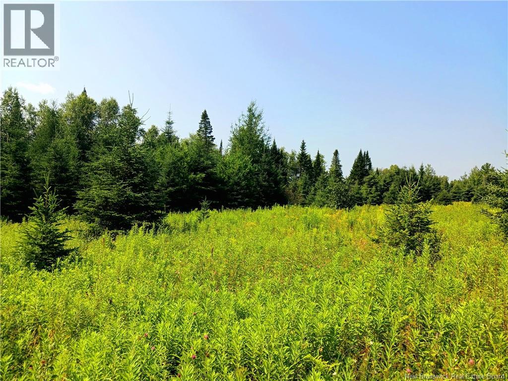 1496 Route 390 Property Photo 1