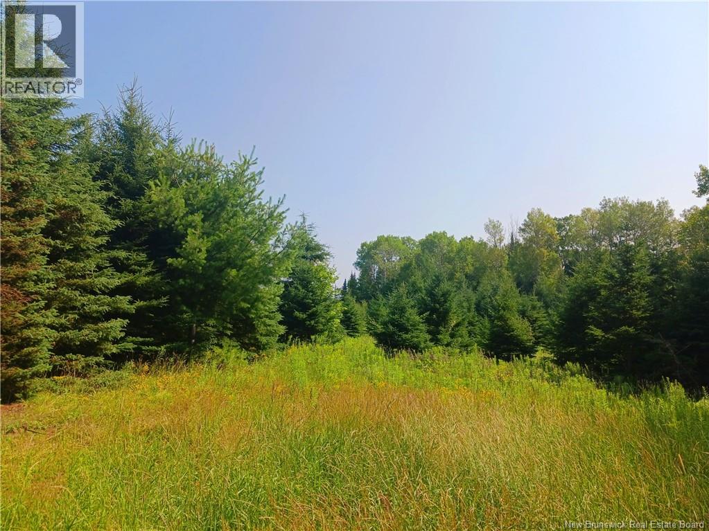 1496 Route 390 Property Photo 3