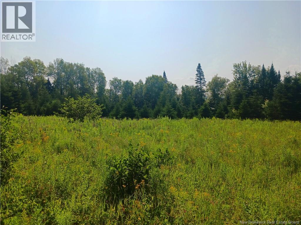 1496 Route 390 Property Photo 4