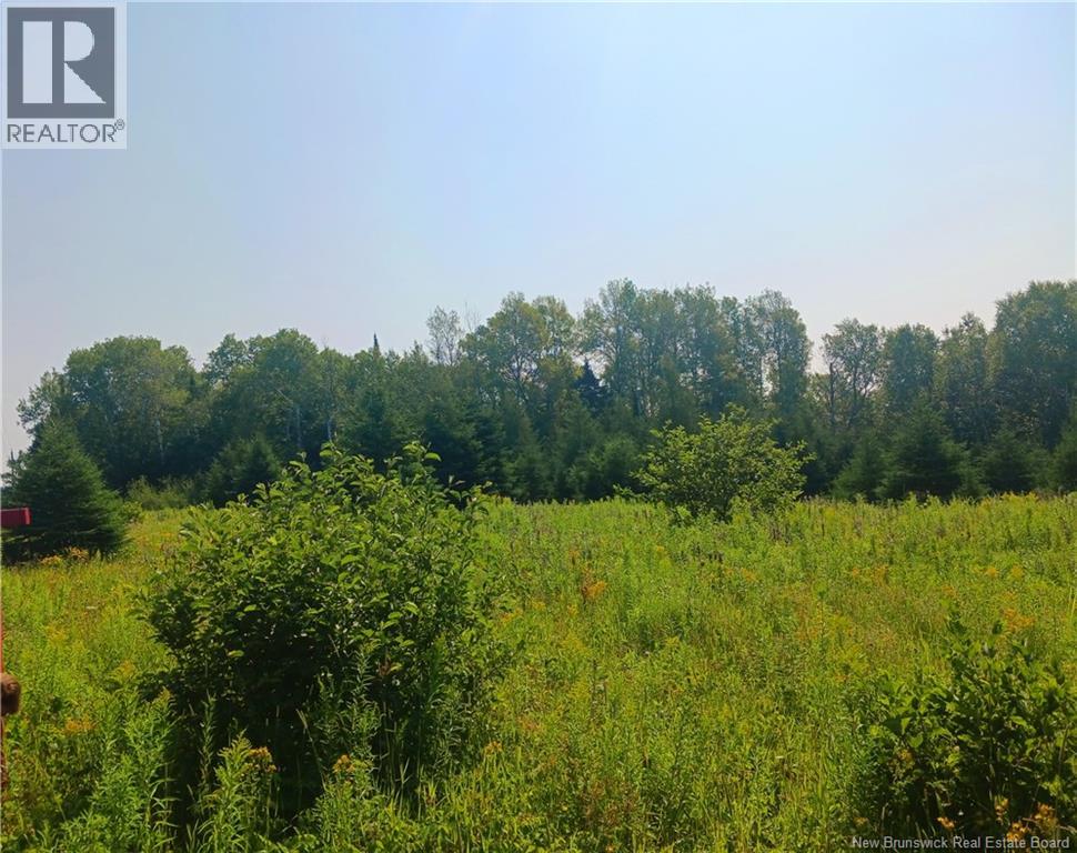 1496 Route 390 Property Photo 5