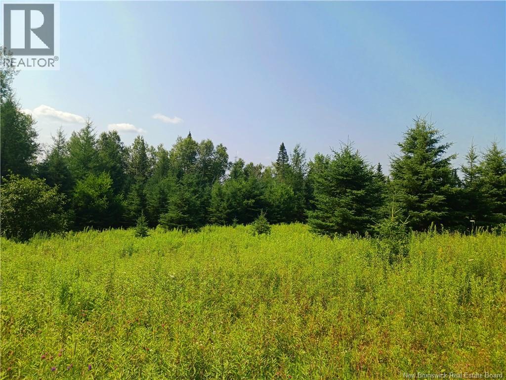 1496 Route 390 Property Photo 6