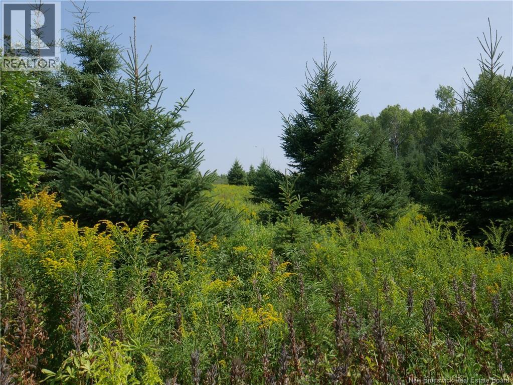 1496 Route 390 Property Photo 7