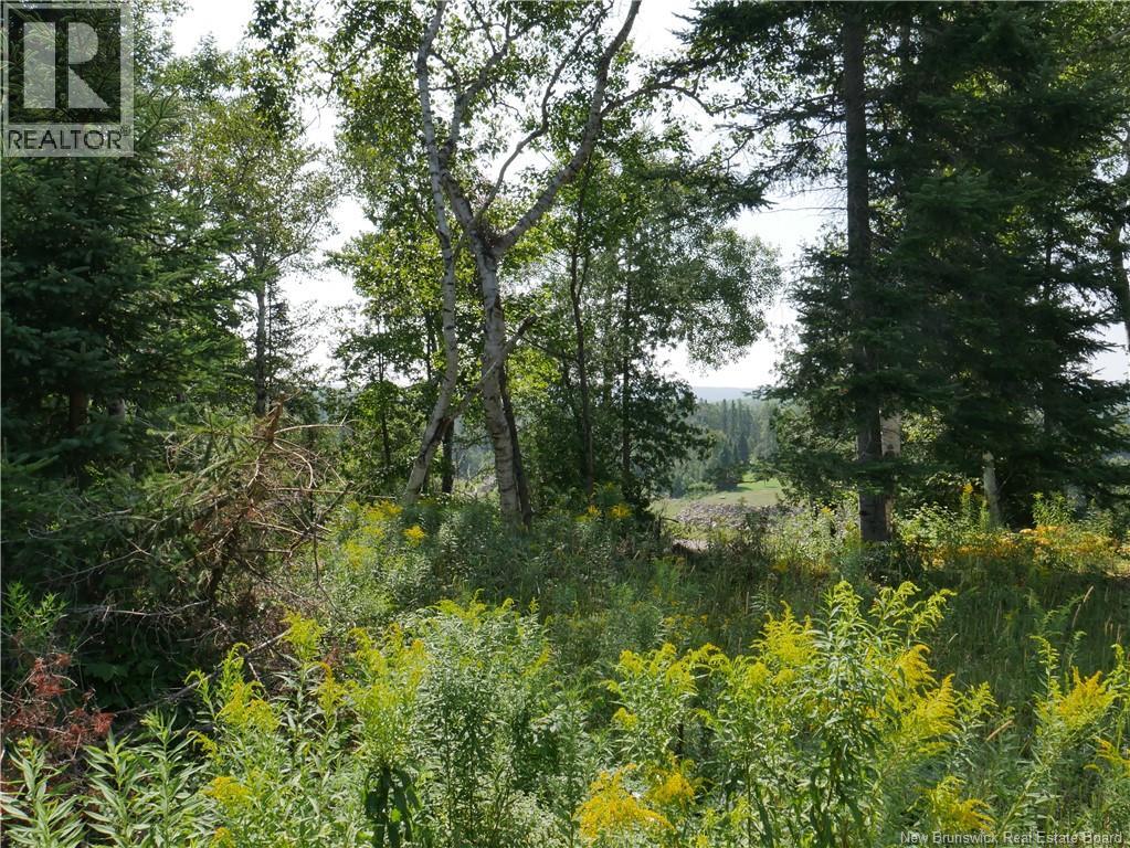 1496 Route 390 Property Photo 8