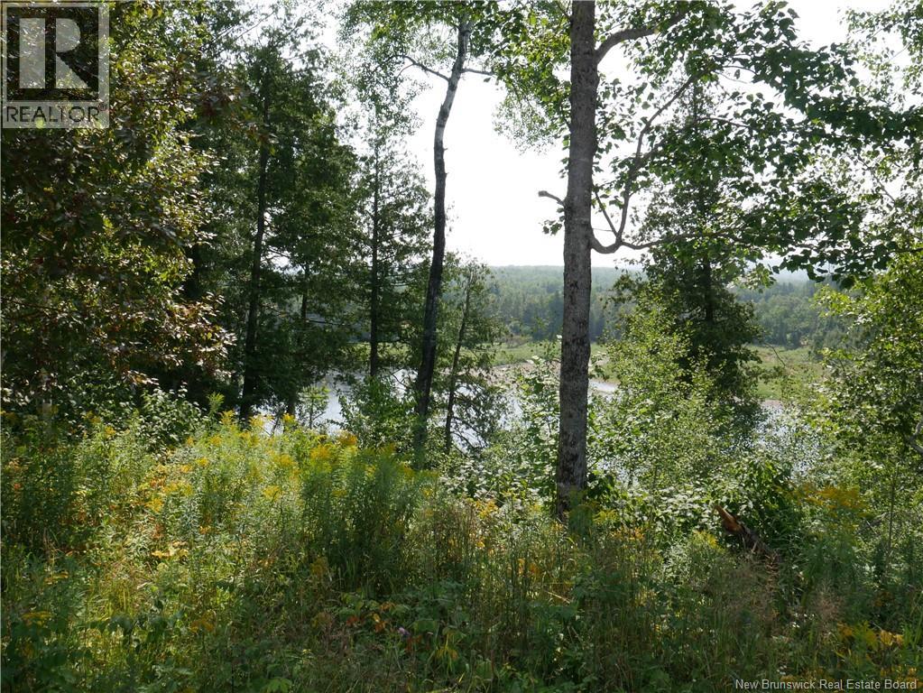 1496 Route 390 Property Photo 9