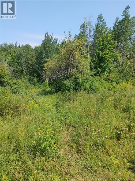 Mitchell Property Photo 7