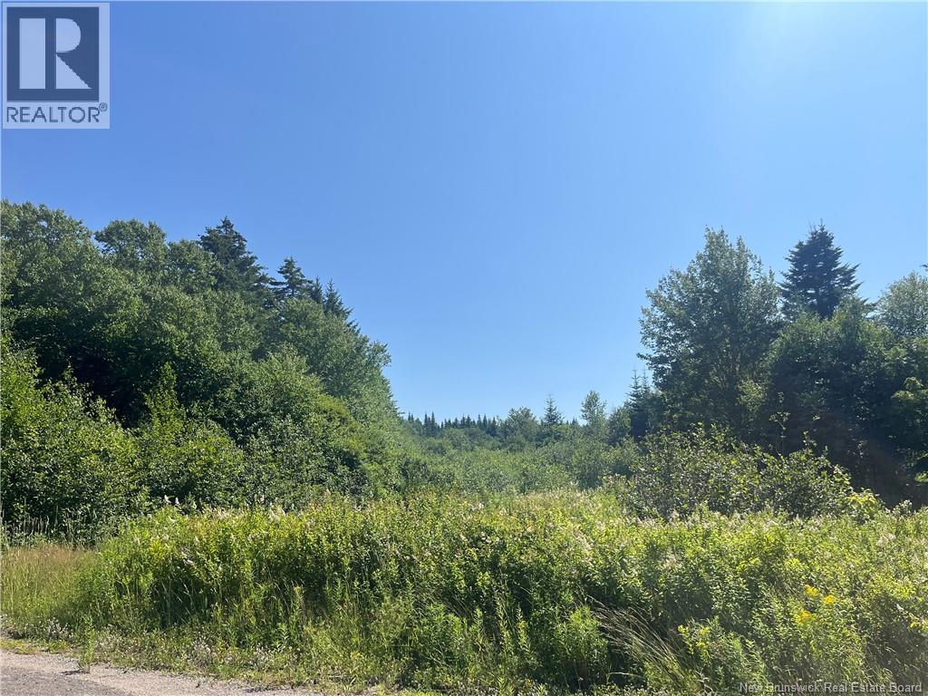 Lot Rabbit Road Property Photo 2