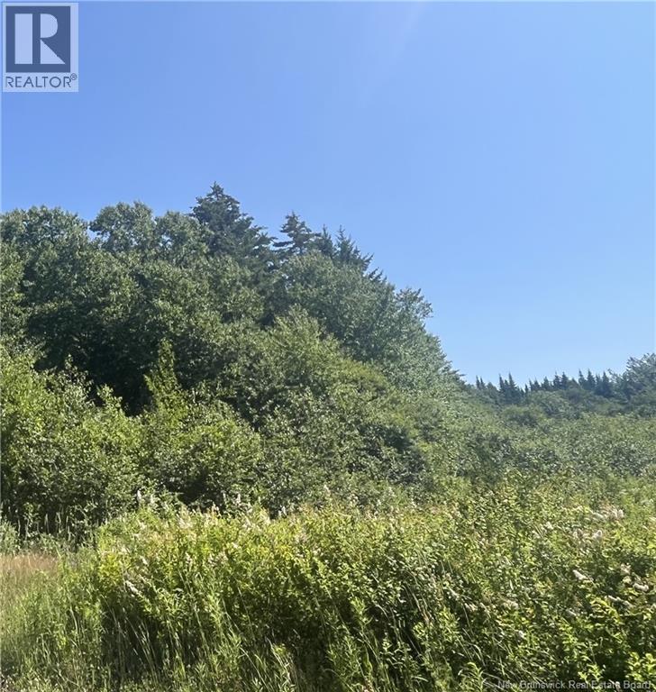 Lot Rabbit Road Property Photo 3