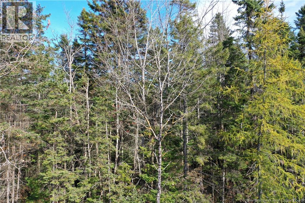 Lot 25-5 Route 855 Property Photo 5
