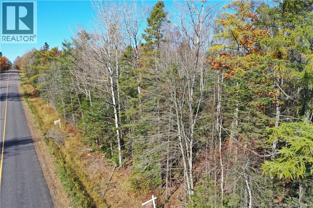 Lot 25-5 Route 855 Property Photo 9