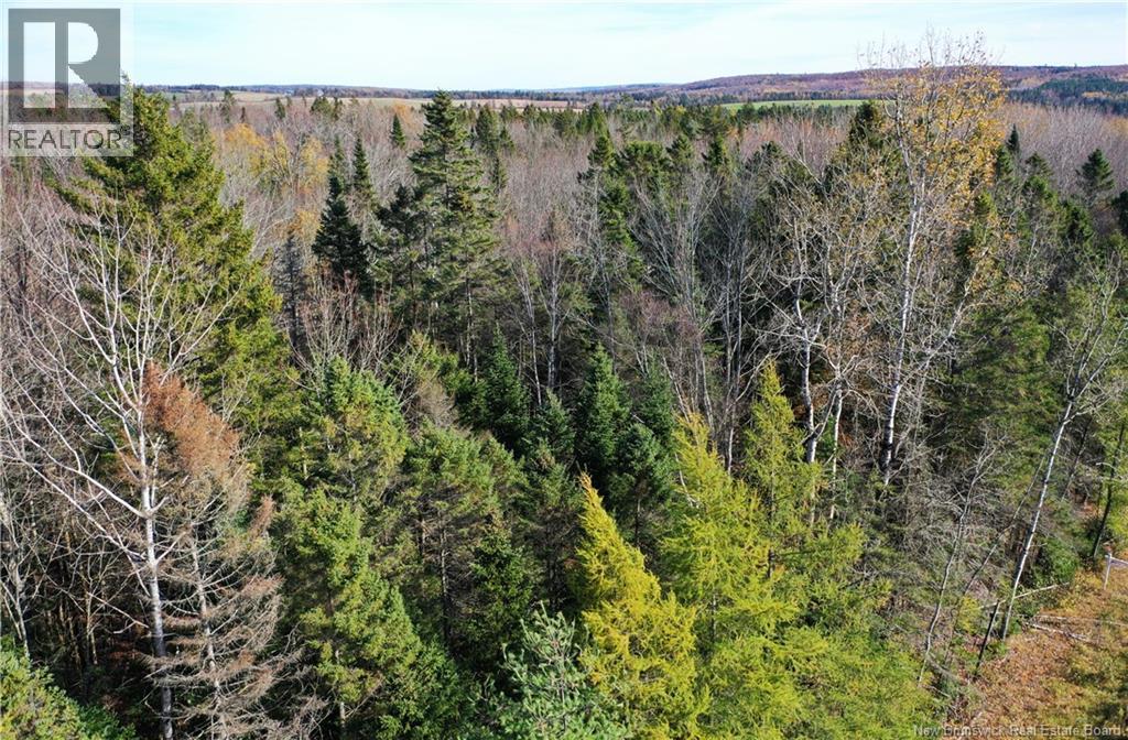Lot 25-5 Route 855 Property Photo 11