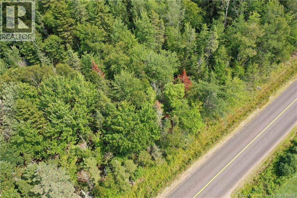Lot 25-6 Route 855 Road Property Photo 2