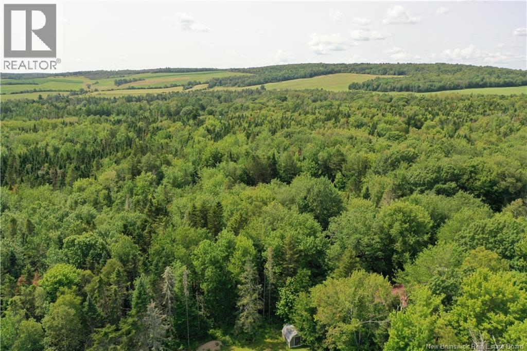 Lot 25-6 Route 855 Road Property Photo 4