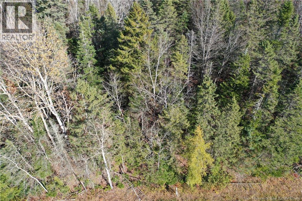 Lot 26-10 Route 855 Property Photo 3