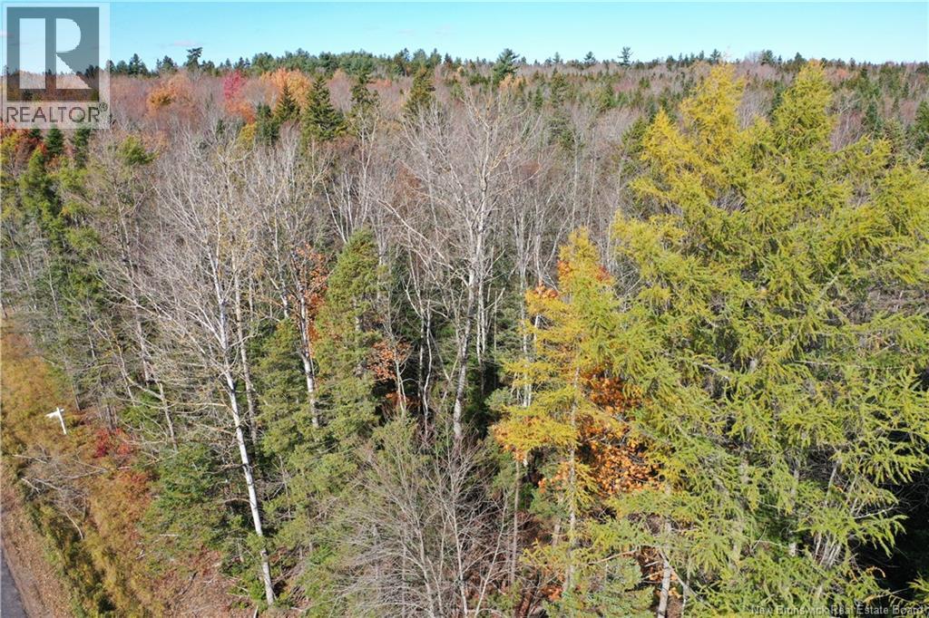 Lot 26-10 Route 855 Property Photo 10