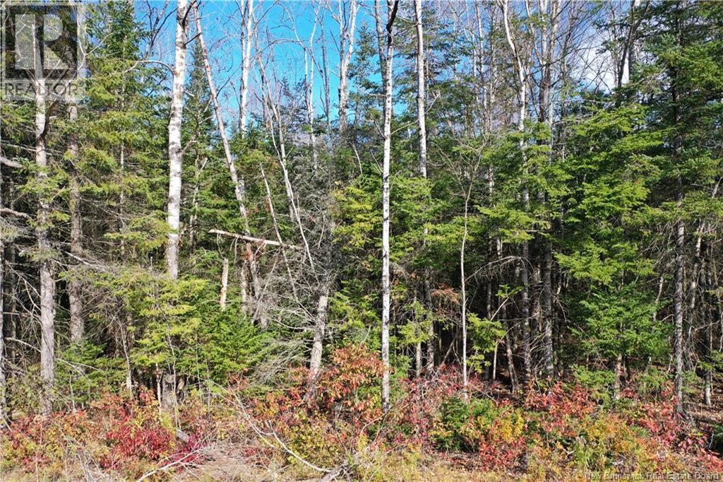 Lot 26-10 Route 855 Property Photo 13