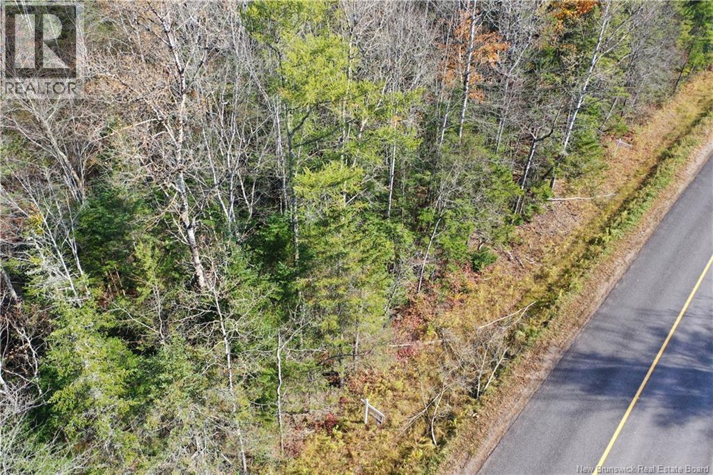 Lot 26-10 Route 855 Property Photo 16