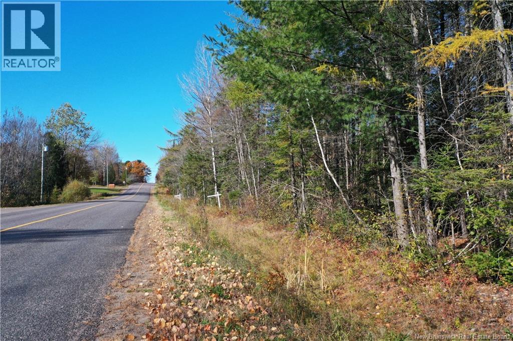 Lot 26-10 Route 855 Property Photo 19