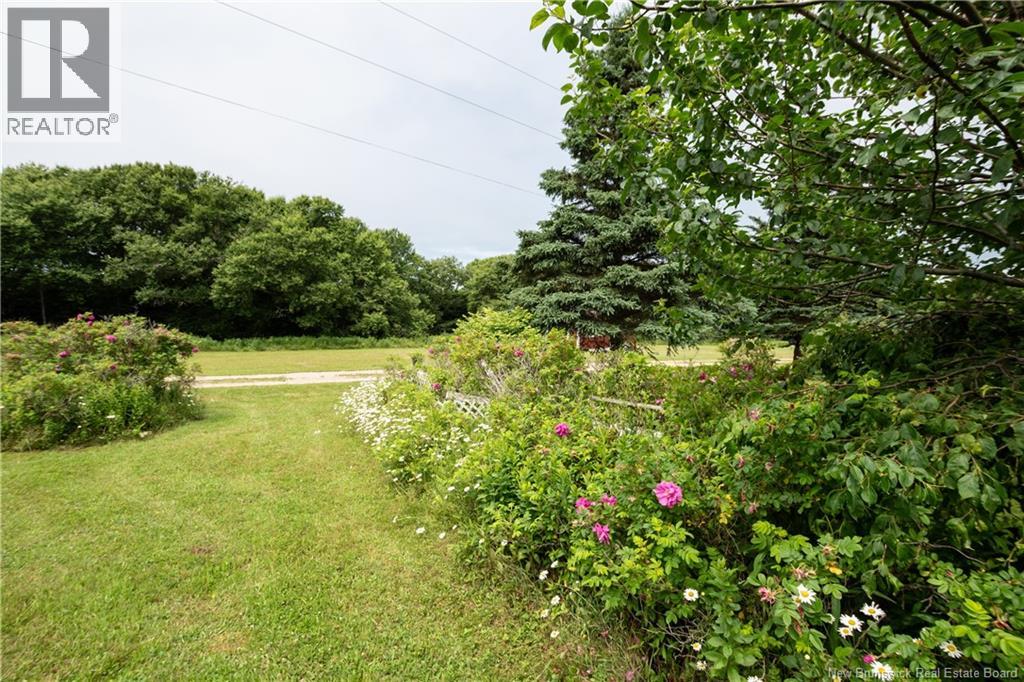 279 Cape Enrage Road Property Photo 45