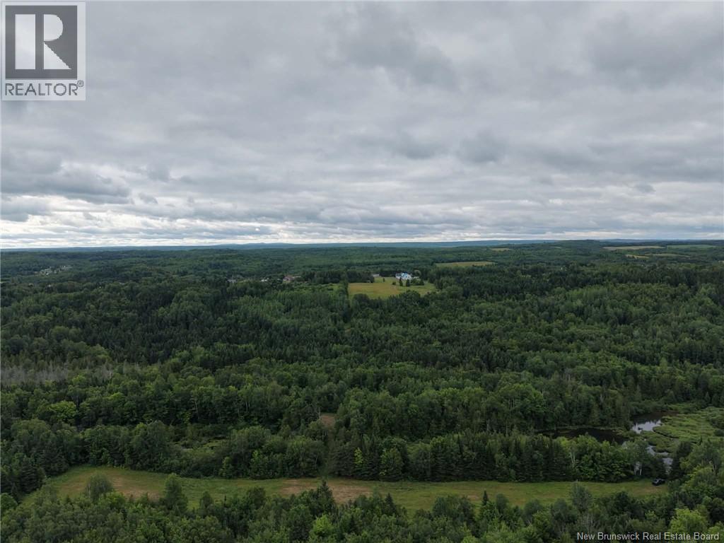 1359 Des Pionniers Avenue Property Photo 6
