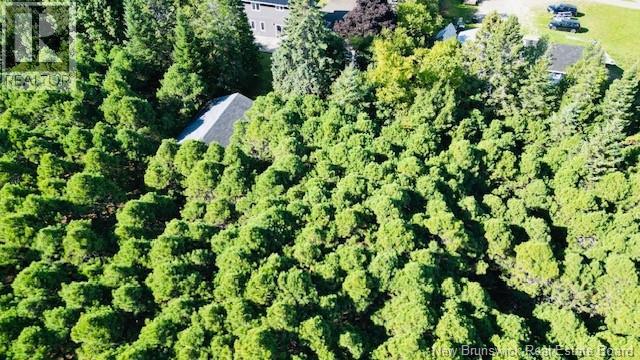 40 Lepage Street Property Photo 5