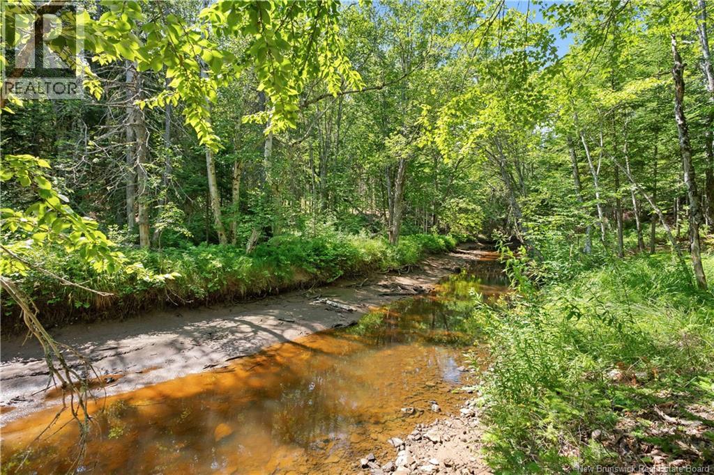 982 Route 945 Property Photo 35