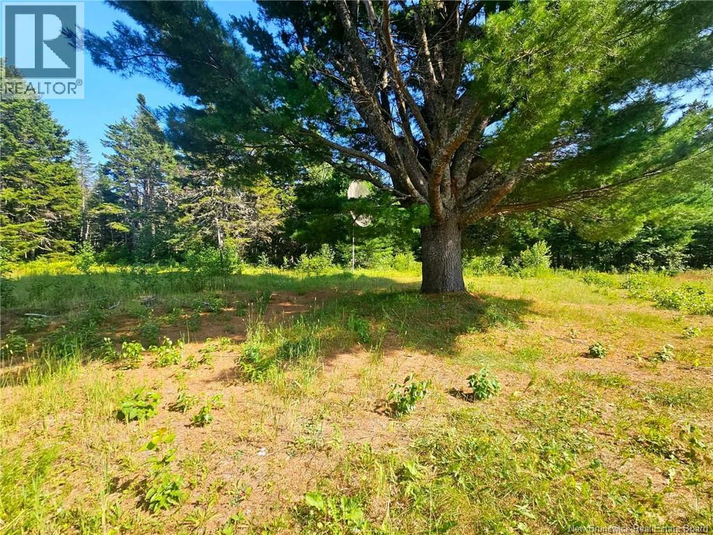 144 Stymiest Property Photo 29