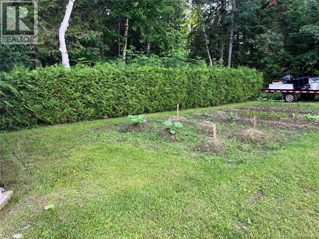 217 Barrett Property Photo 24