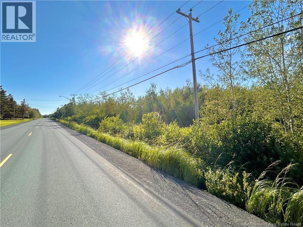 21.5 Acres Rte 117 Property Photo 2