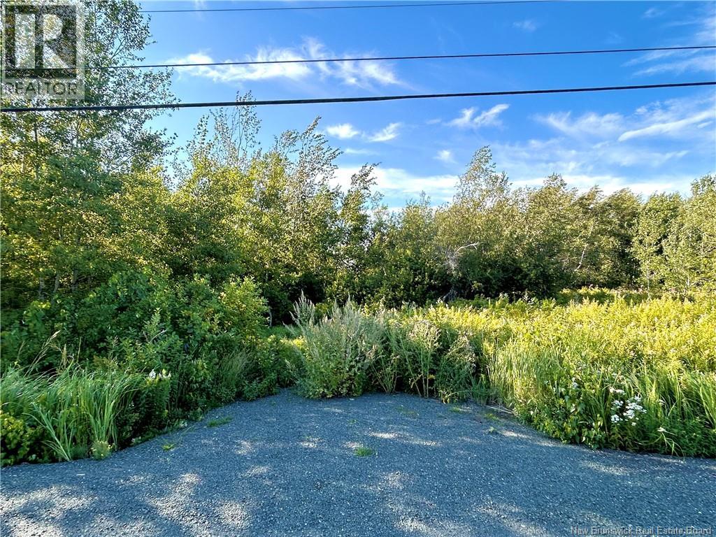 21.5 Acres Rte 117 Property Photo 3