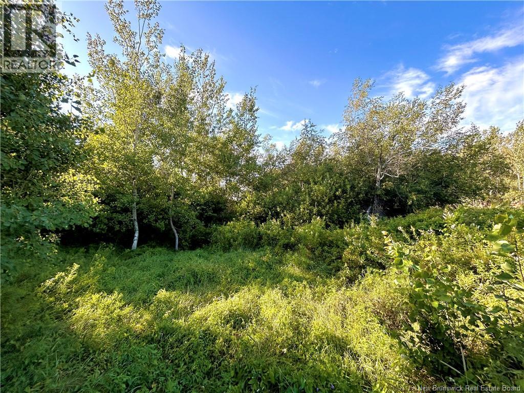 21.5 Acres Rte 117 Property Photo 4